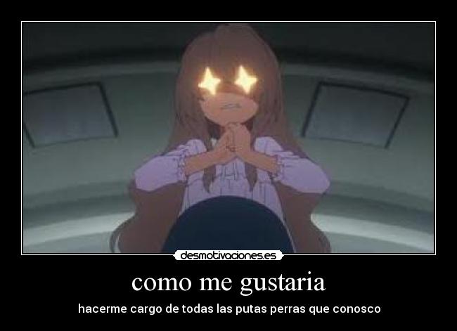 como me gustaria - hacerme cargo de todas las putas perras que conosco
