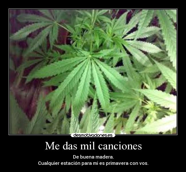 Me das mil canciones - De buena madera.
Cualquier estación para mi es primavera con vos.