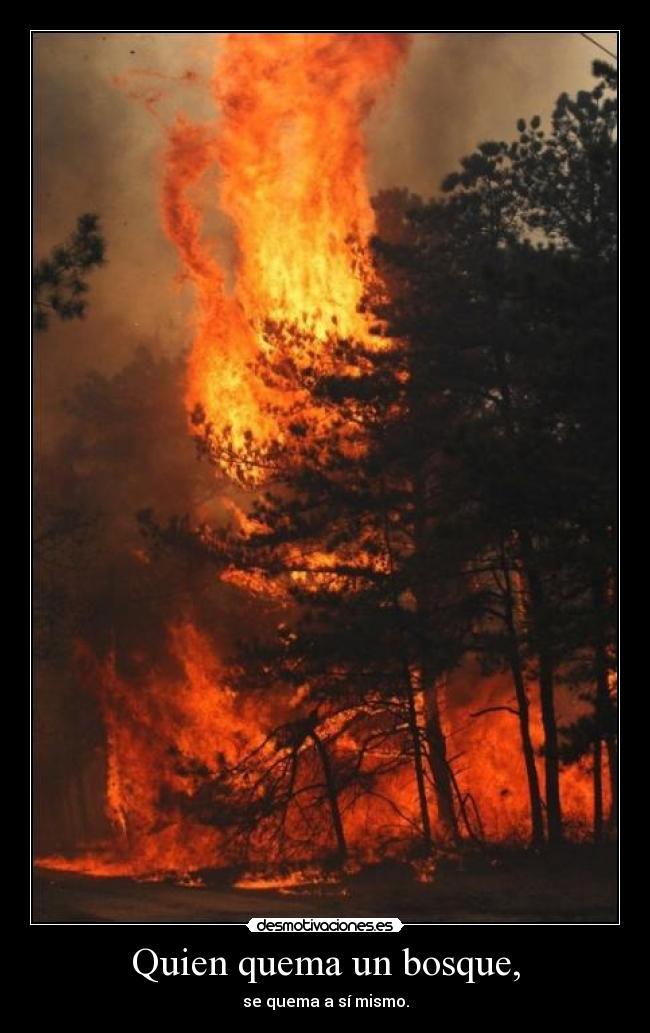 Quien quema un bosque, - 