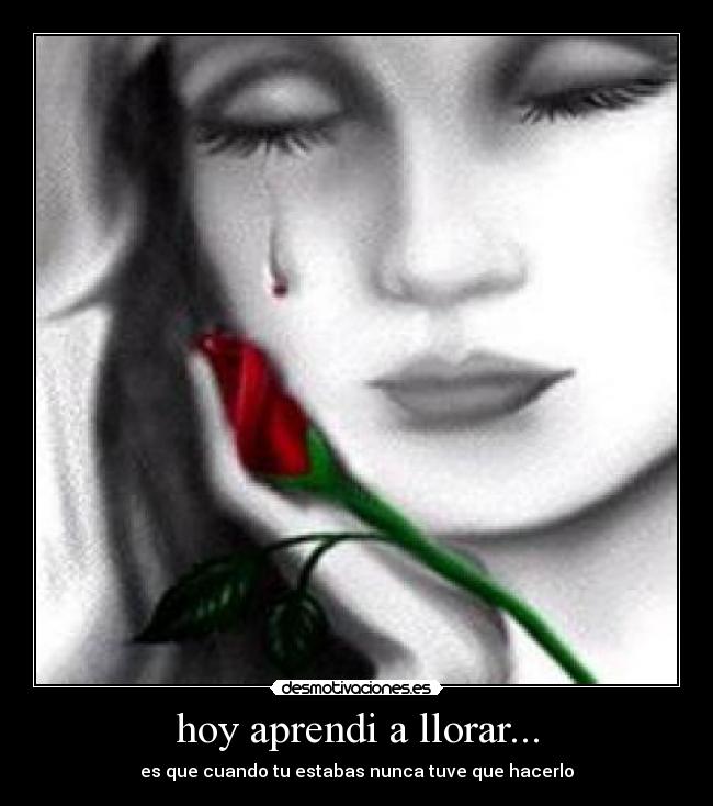 carteles llorar hoy aprendi desmotivaciones