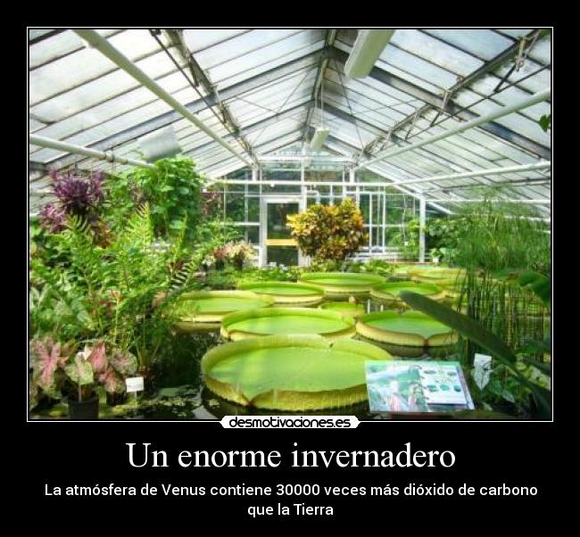 carteles curiosidades desmotivaciones