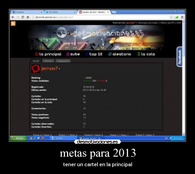 metas para 2013 - 