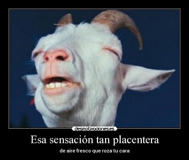 Esa sensación tan placentera - de aire fresco que roza tu cara