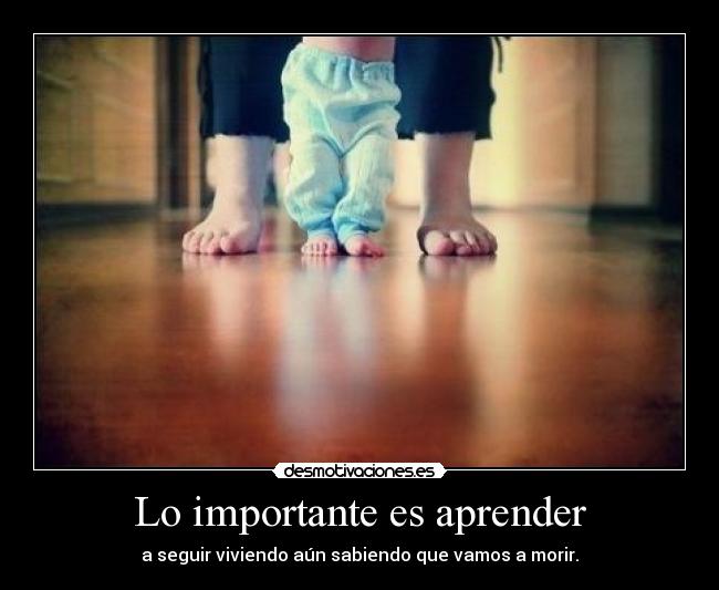 Lo importante es aprender -