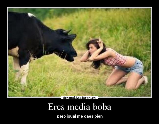 Eres media boba - pero igual me caes bien