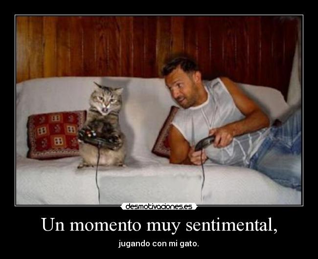 Un momento muy sentimental, - jugando con mi gato.