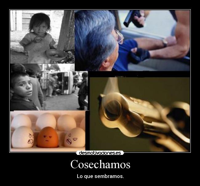 Cosechamos - 