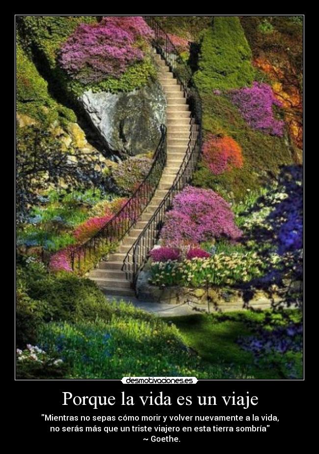 carteles vida vie desmotivaciones