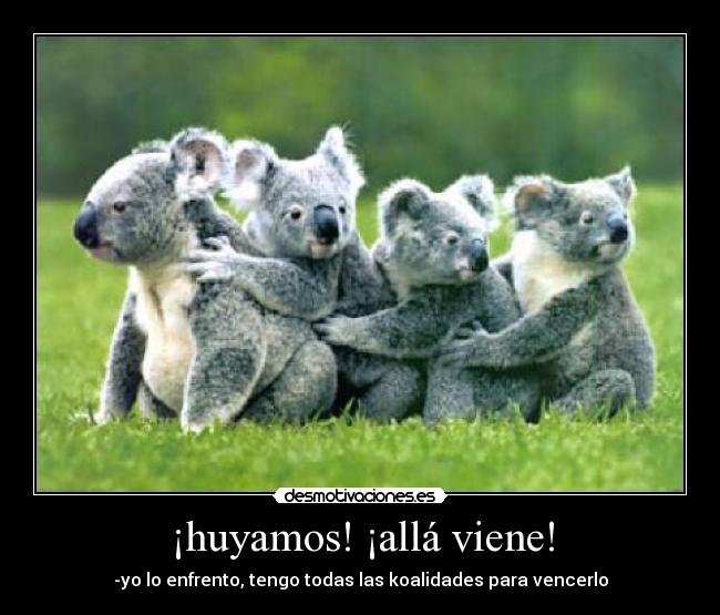 ¡huyamos! ¡allá viene! - -yo lo enfrento, tengo todas las koalidades para vencerlo