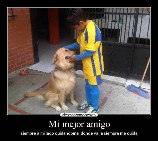 carteles koda desmotivaciones