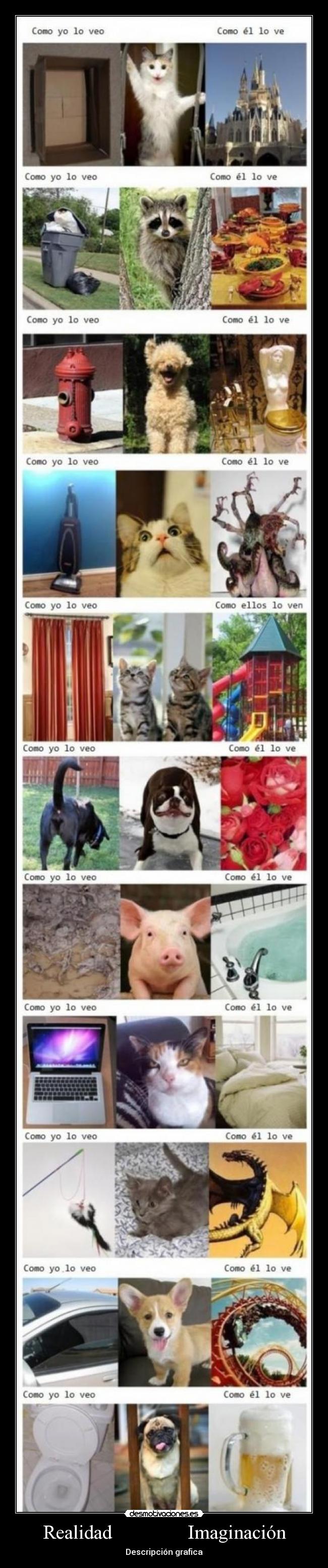 Realidad Imaginación - Descripción grafica
