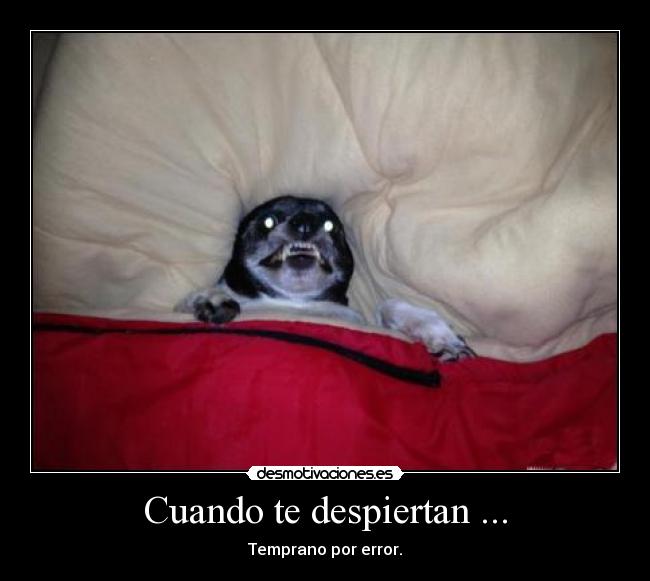Cuando te despiertan ... - 