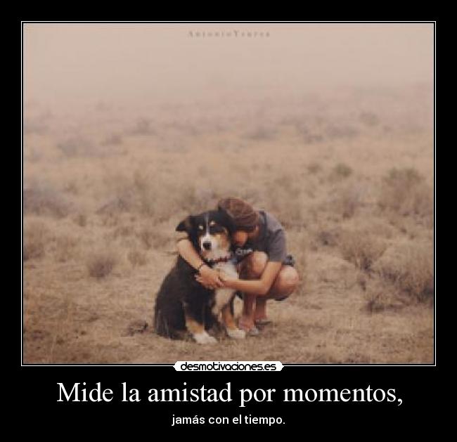 Mide la amistad por momentos, - jamás con el tiempo.