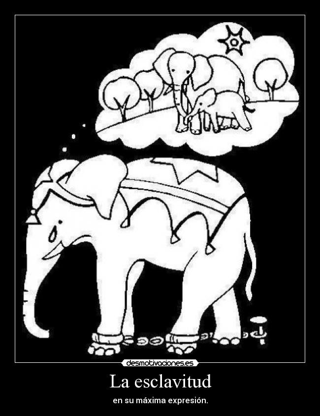 La esclavitud - 