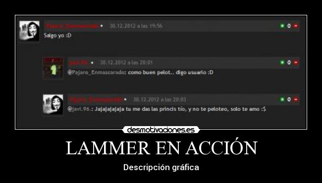 LAMMER EN ACCIÓN - Descripción gráfica