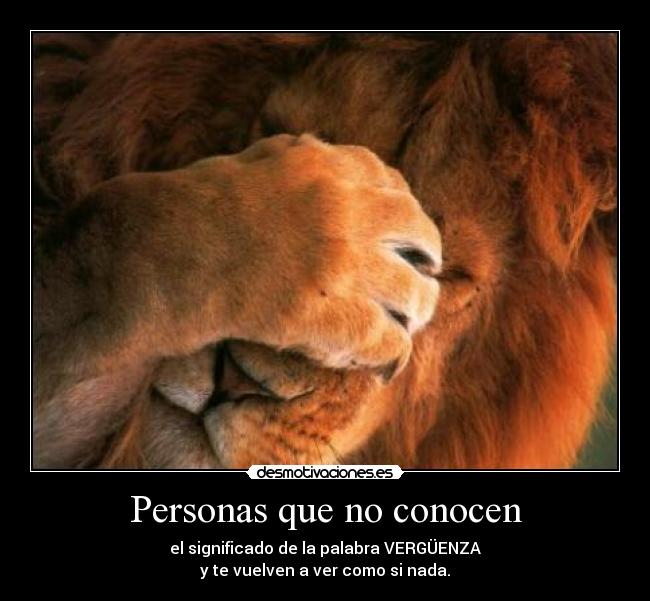 carteles verguenza desmotivaciones