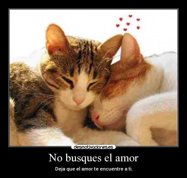 No busques el amor - Deja que el amor te encuentre a ti.