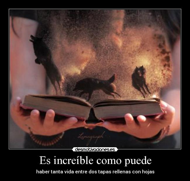 Es increíble como puede - haber tanta vida entre dos tapas rellenas con hojas