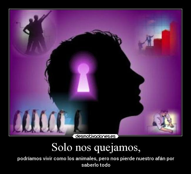 Solo nos quejamos, - 