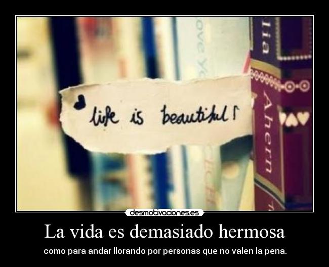 La vida es demasiado hermosa - como para andar llorando por personas que no valen la pena.
