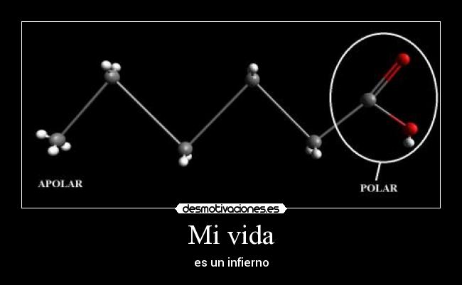 Mi vida - es un infierno