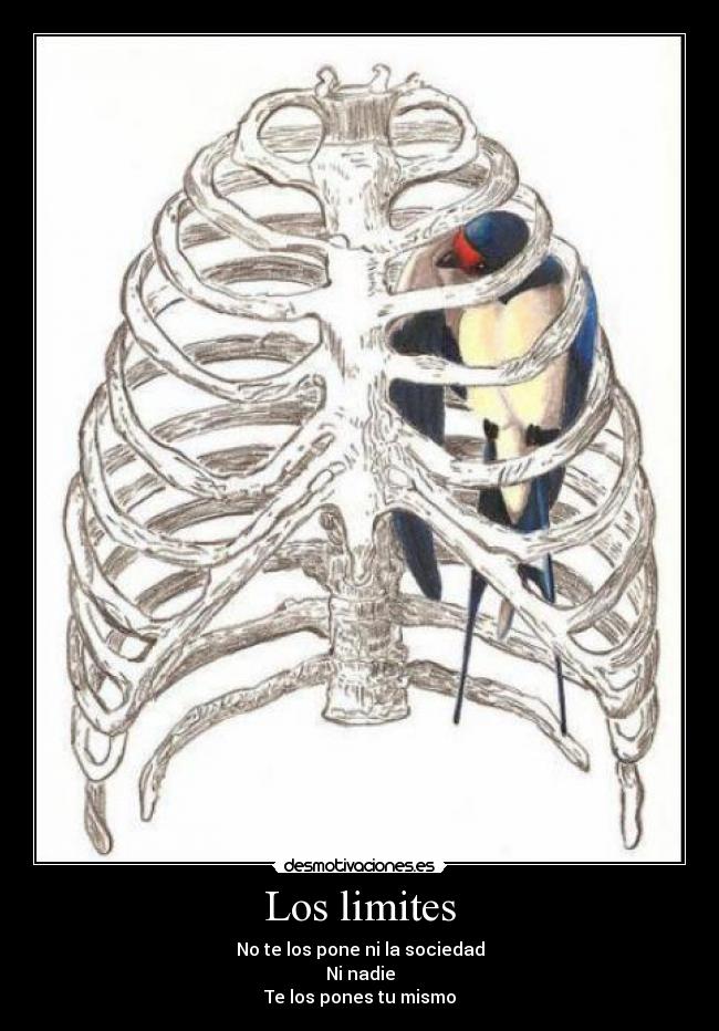 Los limites - No te los pone ni la sociedad
Ni nadie
Te los pones tu mismo