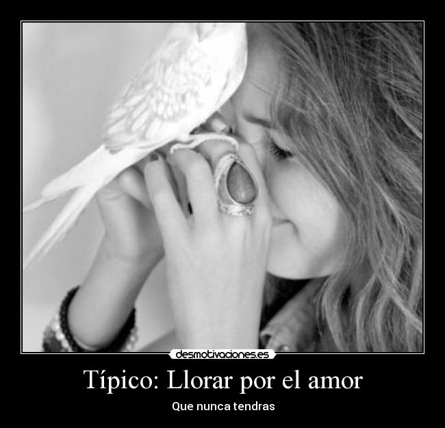Típico: Llorar por el amor - Que nunca tendras