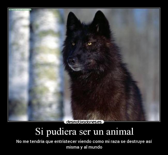 Si pudiera ser un animal - No me tendría que entristecer viendo como mi raza se destruye así misma y al mundo