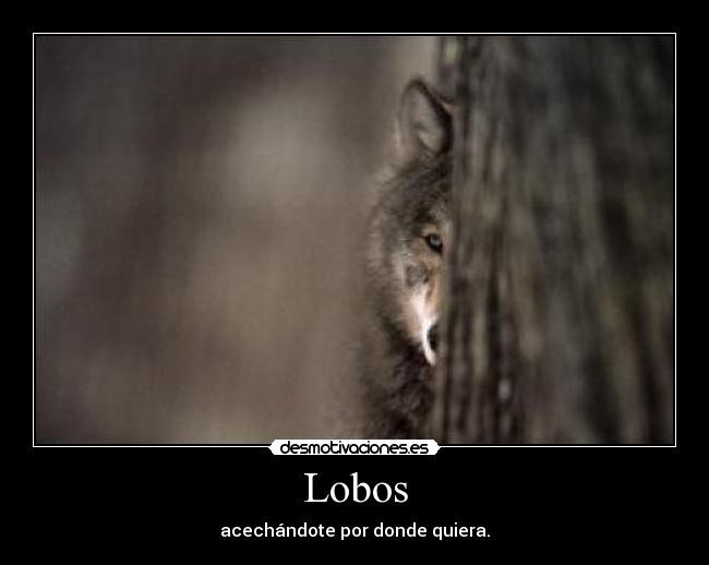 Lobos -