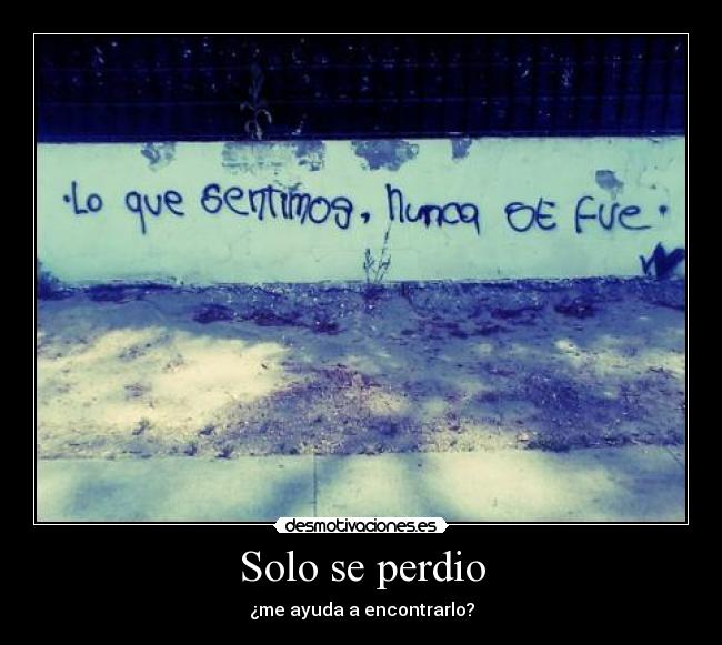 Solo se perdio - ¿me ayuda a encontrarlo?