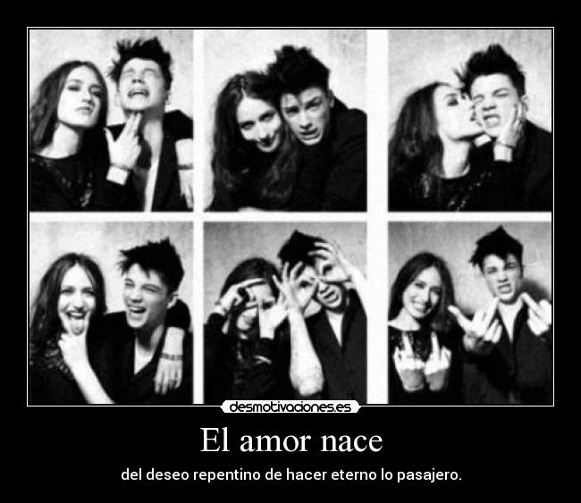 El amor nace -