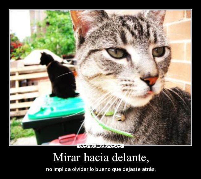 Mirar hacia delante, - no implica olvidar lo bueno que dejaste atrás.