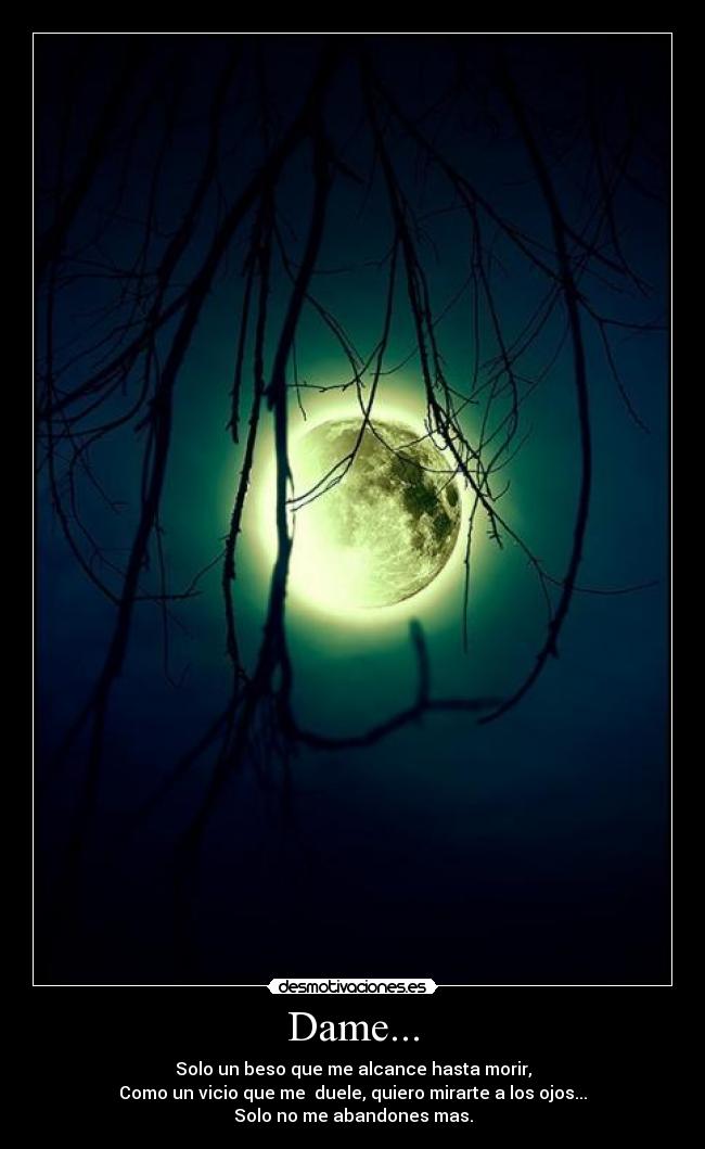 Dame... - Solo un beso que me alcance hasta morir,
Como un vicio que me duele, quiero mirarte a los ojos...
Solo no me abandones mas.