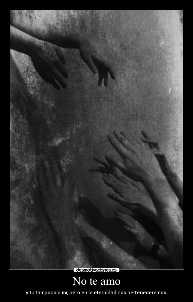 No te amo -
