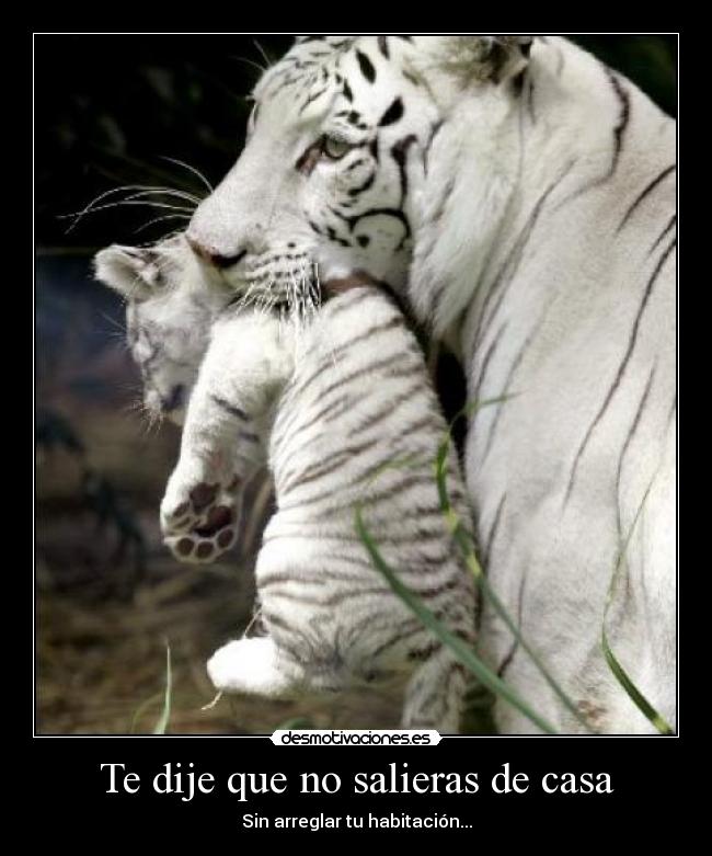 Te dije que no salieras de casa -