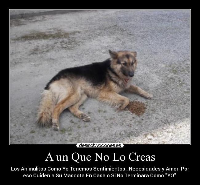 A un Que No Lo Creas - 