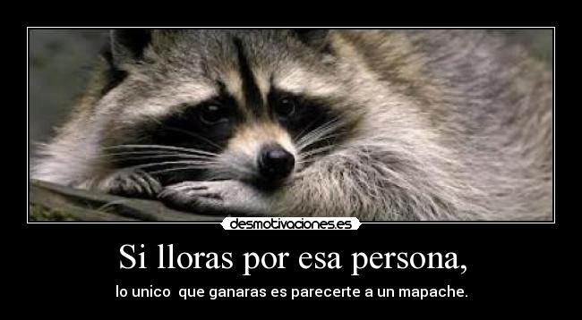 Si lloras por esa persona, - 