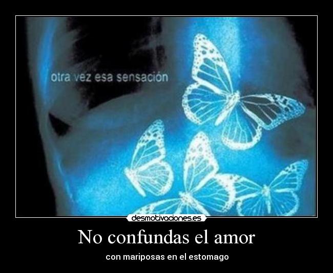 No confundas el amor - con mariposas en el estomago