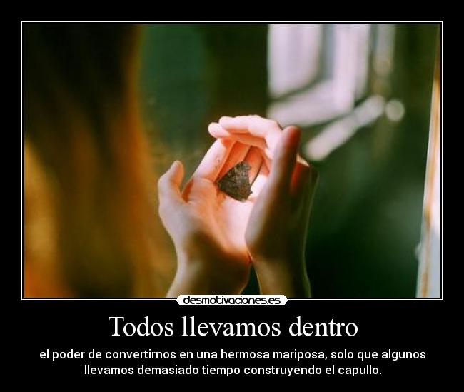 Todos llevamos dentro - el poder de convertirnos en una hermosa mariposa, solo que algunos
llevamos demasiado tiempo construyendo el capullo.
