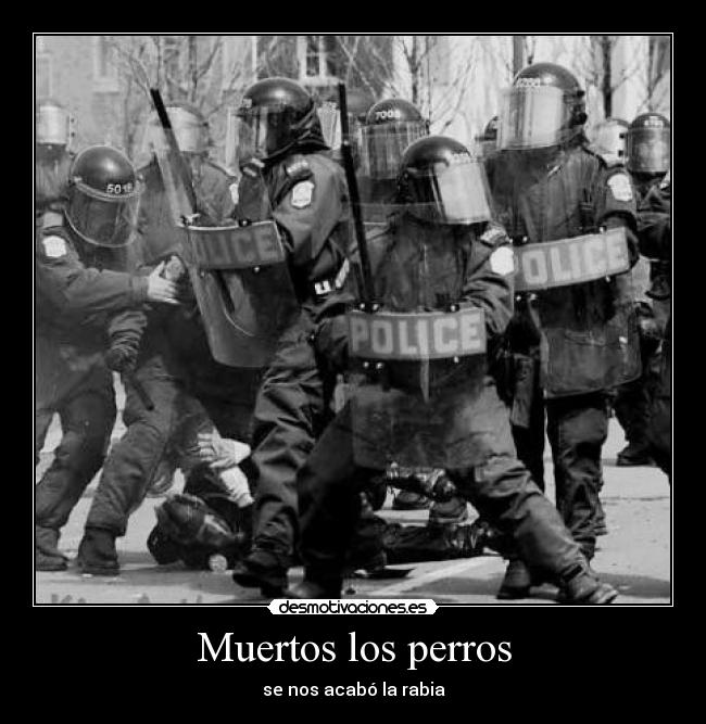 Muertos los perros - se nos acabó la rabia