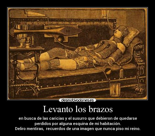 Levanto los brazos - en busca de las caricias y el susurro que debieron de quedarse
perdidos por alguna esquina de mi habitación.
Deliro mentiras, recuerdos de una imagen que nunca piso mi reino.