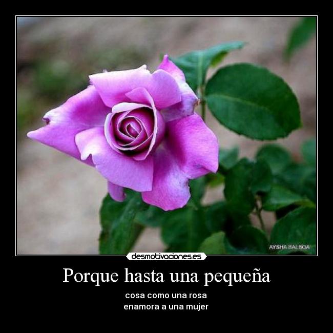 Porque hasta una pequeña - cosa como una rosa
enamora a una mujer
♥