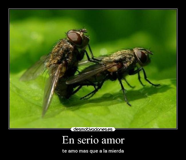 carteles amor sawglam94 desmotivaciones