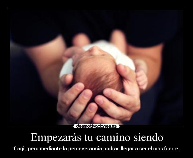 Empezarás tu camino siendo - 