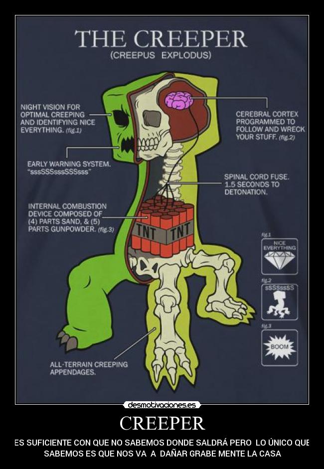 CREEPER - ES SUFICIENTE CON QUE NO SABEMOS DONDE SALDRÁ PERO  LO ÚNICO QUE
SABEMOS ES QUE NOS VA  A  DAÑAR GRABE MENTE LA CASA