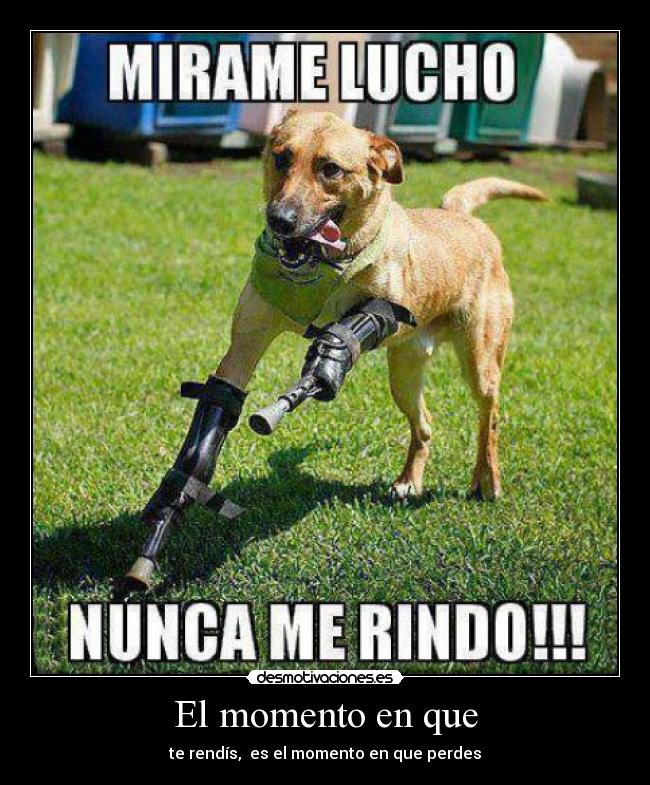 El momento en que - te rendís, es el momento en que perdes