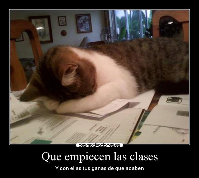Que empiecen las clases - Y con ellas tus ganas de que acaben