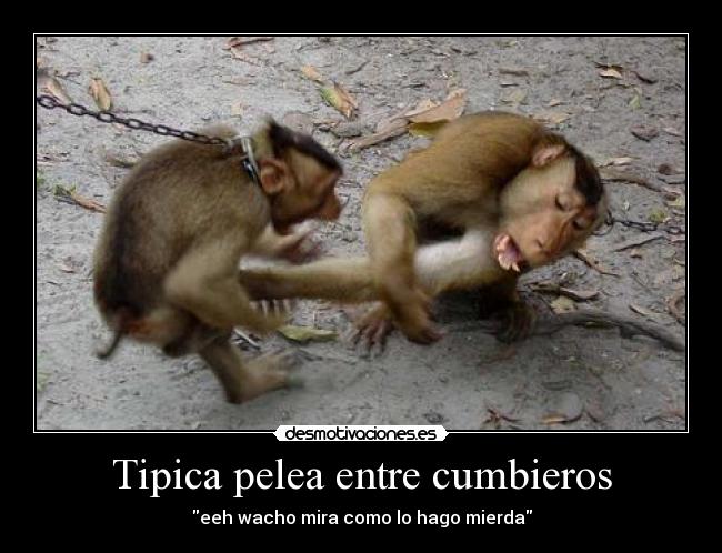 Tipica pelea entre cumbieros - eeh wacho mira como lo hago mierda