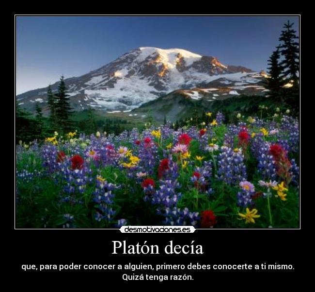 Platón decía - que, para poder conocer a alguien, primero debes conocerte a ti mismo.
Quizá tenga razón.