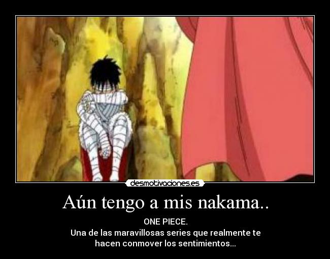 Aún tengo a mis nakama.. - 